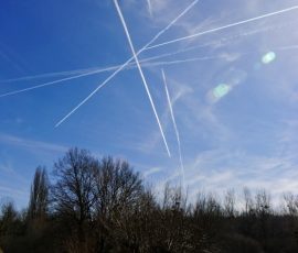 DSC_0101_DxO